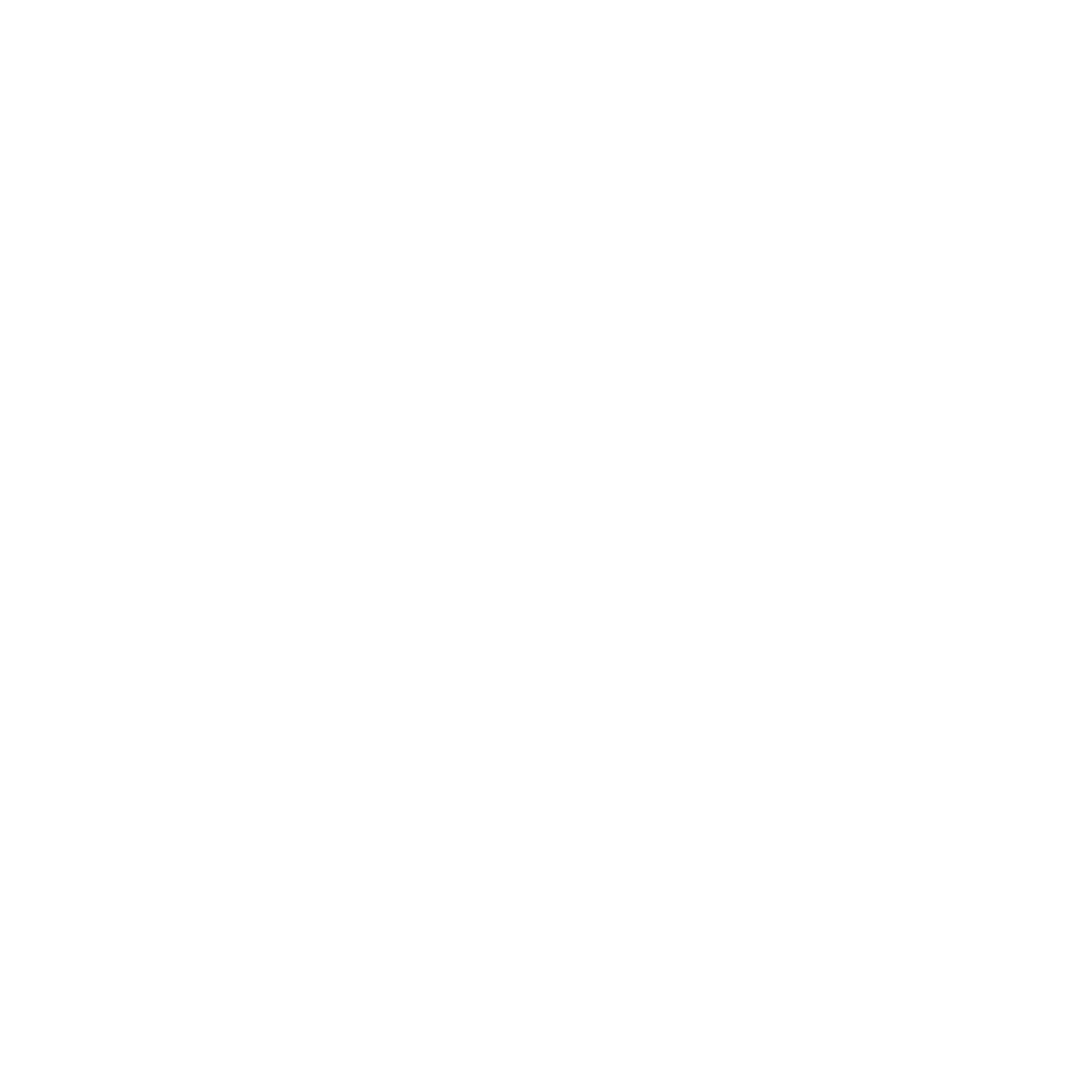 Logo Boom