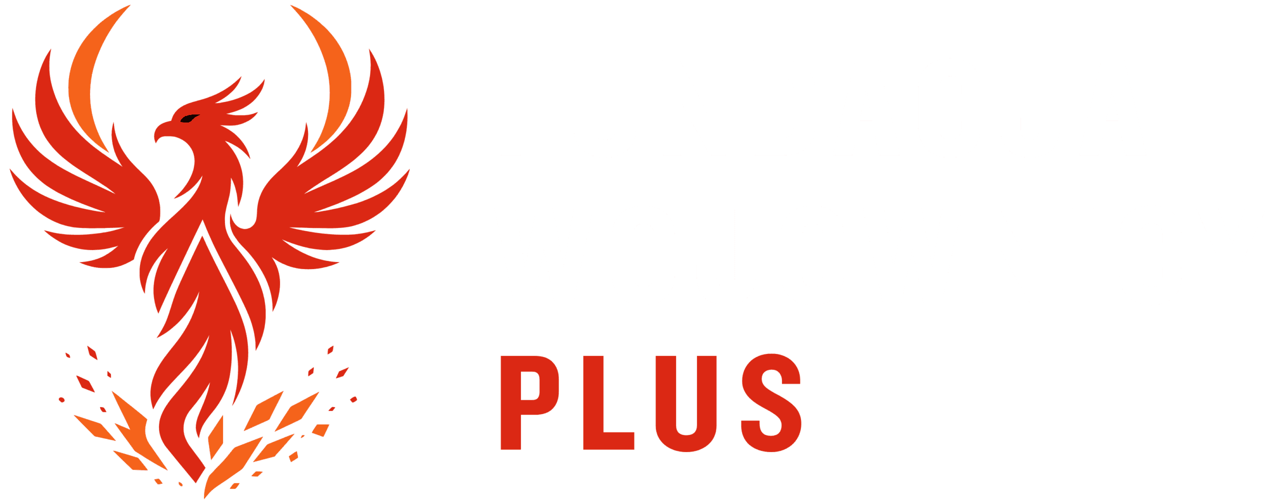 stopka logo